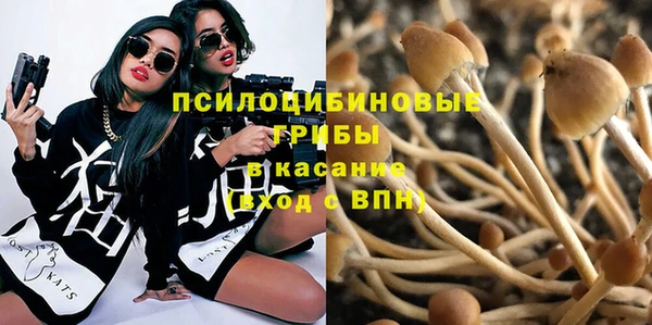 мдпв Володарск