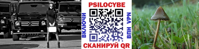 Галлюциногенные грибы прущие грибы Петухово